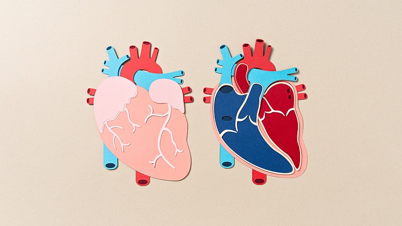 AI赋能解剖教学 全国首创新模式-天维邦考教育网