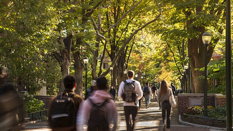 教育部加强法国院校学历认证审查-天维邦考教育网