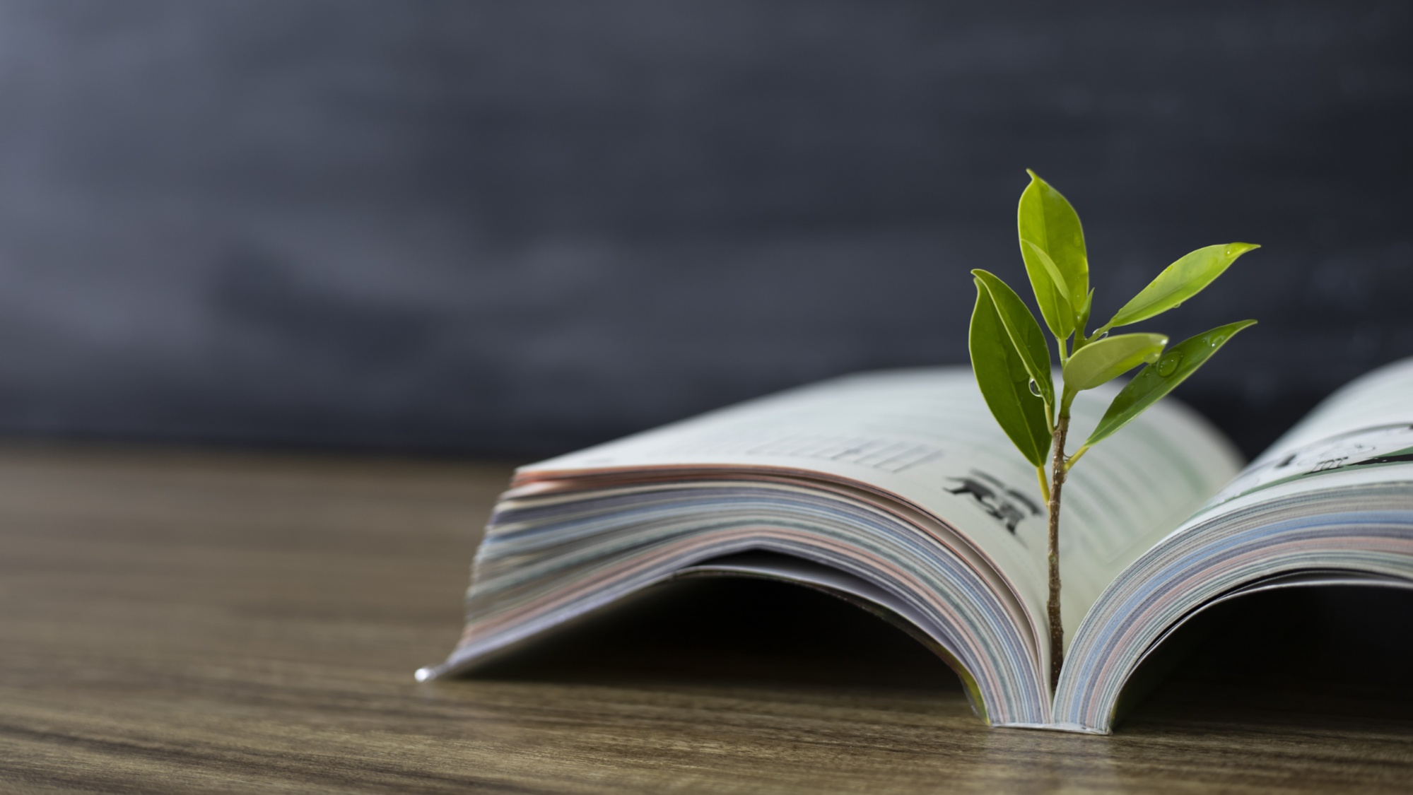 既要把科技搞上去，还要把人才培养好