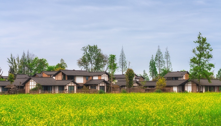 “三融三促”培养国际文旅人才