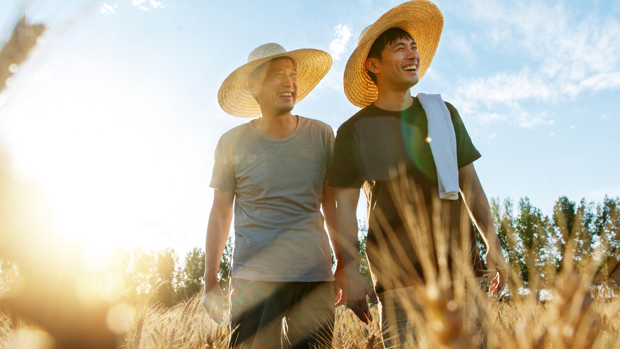 职业院校创新就业育人模式培养现代农业人才-天维邦考教育网