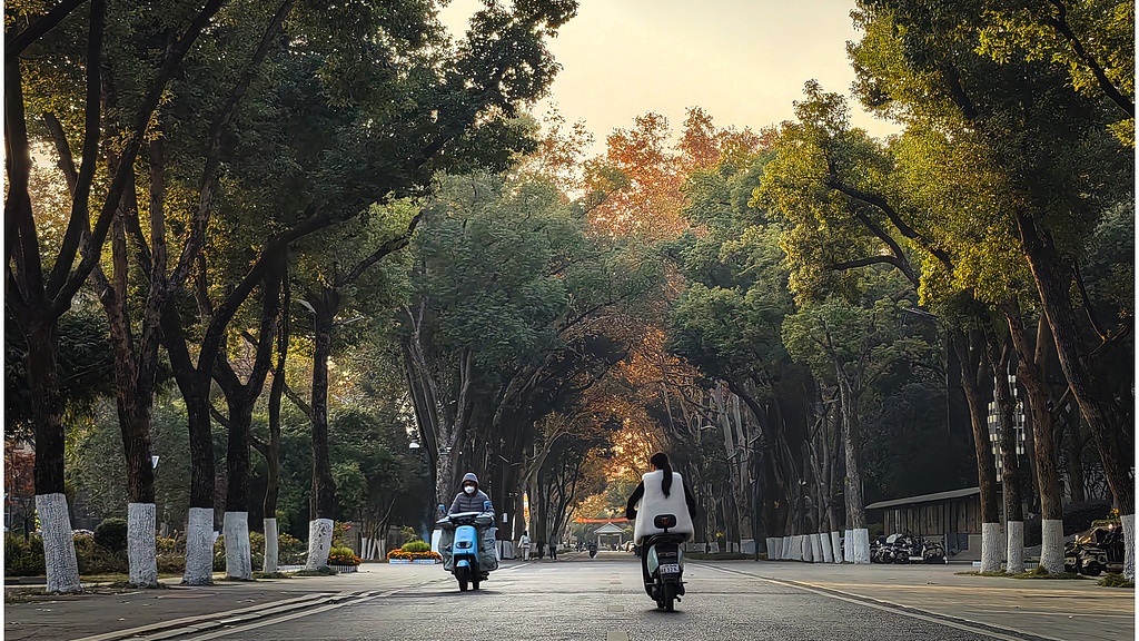 如何解决校园电动车管理难题