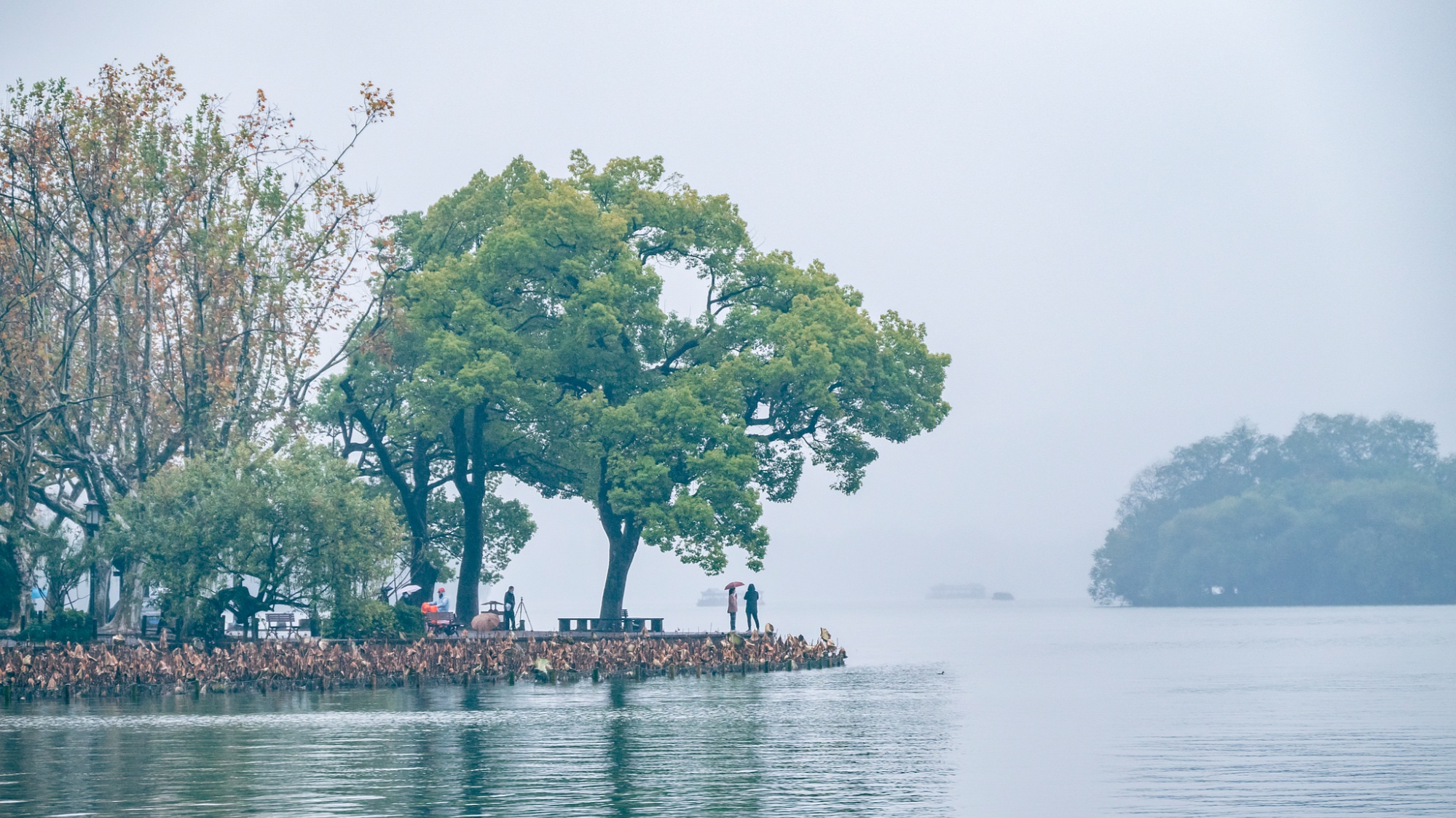 科学家揭示青藏高原如何“造就”烟雨江南