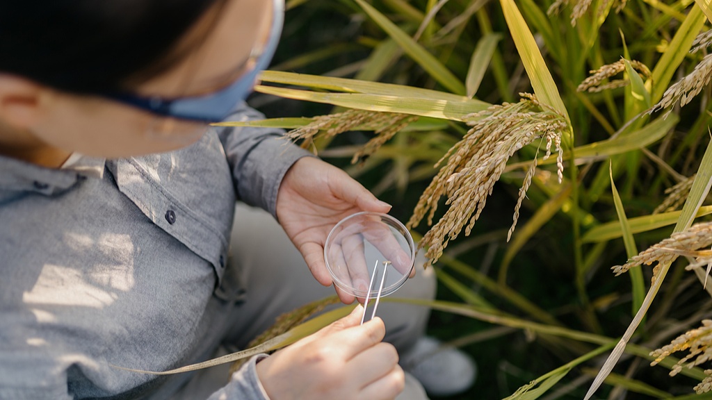 职业教育如何培养现代农业高技能人才 院士提出实践教学新体系-天维邦考教育网