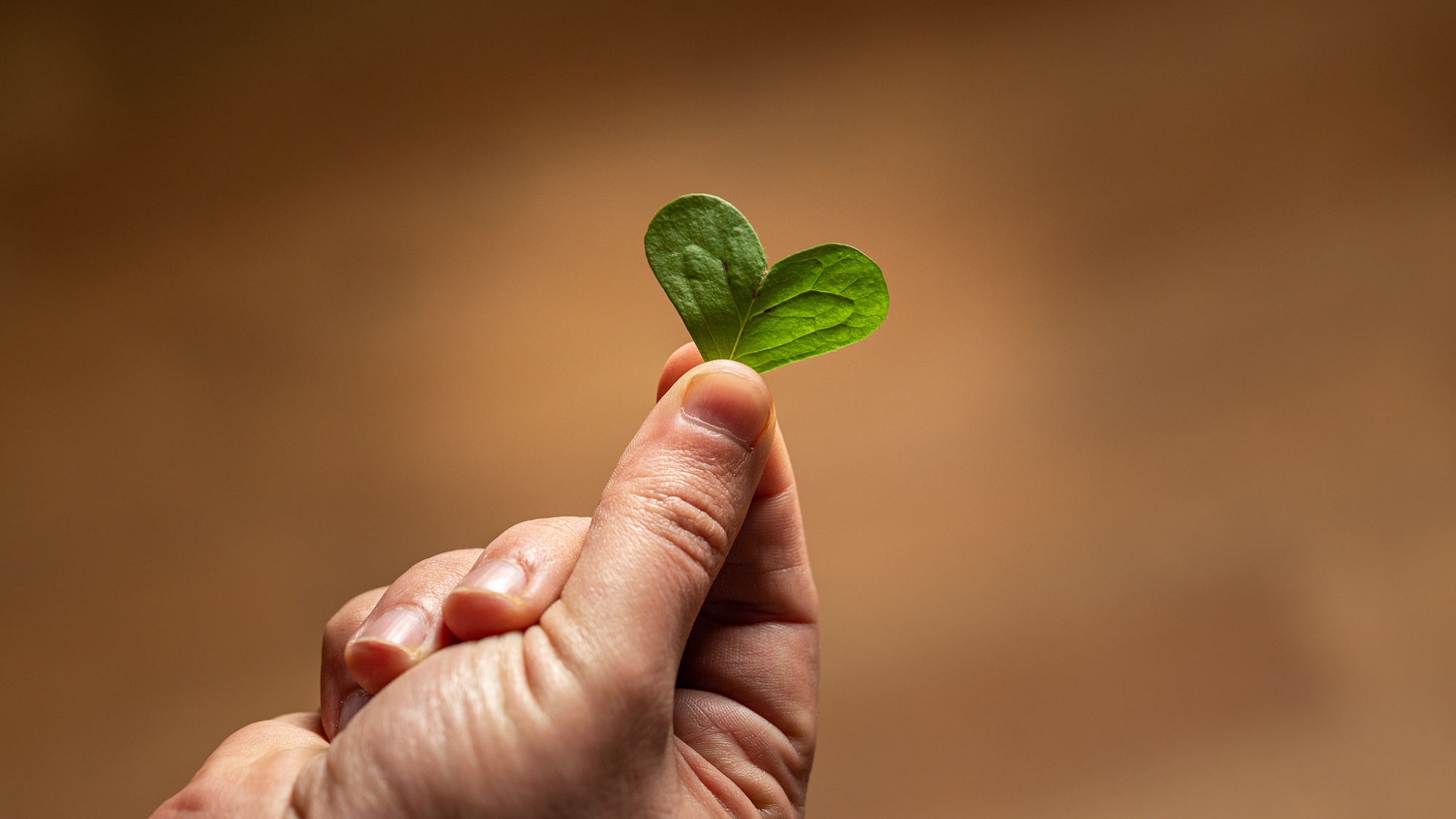 监狱女警温向红获全国司法行政系统一级英雄模范称号-天维邦考教育网