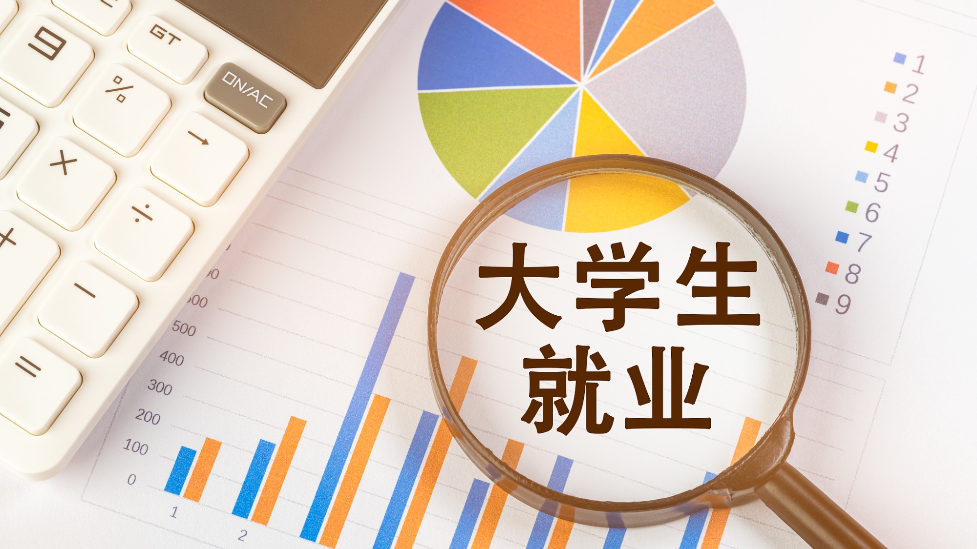 高校就业指导服务体系构建策略与实践路径研究-天维邦考教育网