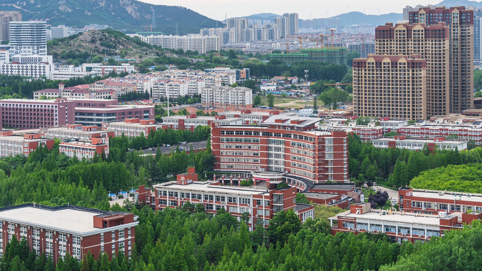 青岛职业教育深化产教融合 培养高素质技能人才服务产业发展-天维邦考教育网