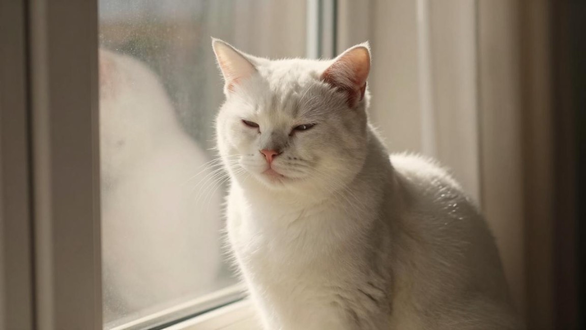 孕检正常却产下畸形婴儿 医生详解产前检查局限性-天维邦考教育网