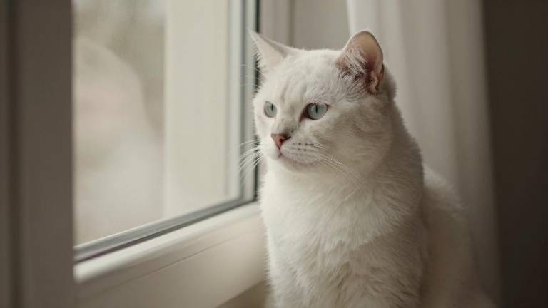 孕期检查全攻略：从怀孕到分娩必备检查时间表-天维邦考教育网